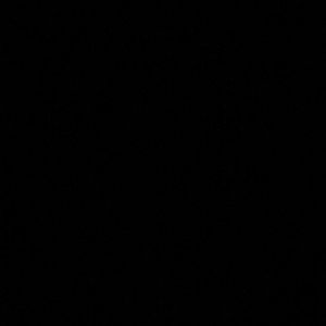 Meet your Posher, Bryant